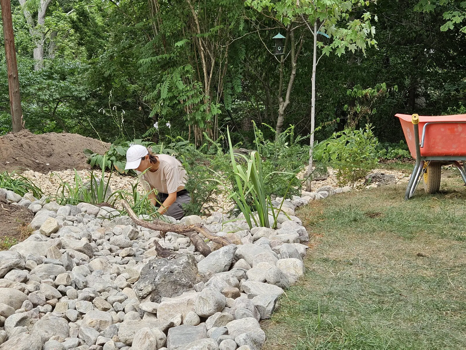 Crew member building rain garden with armour stone