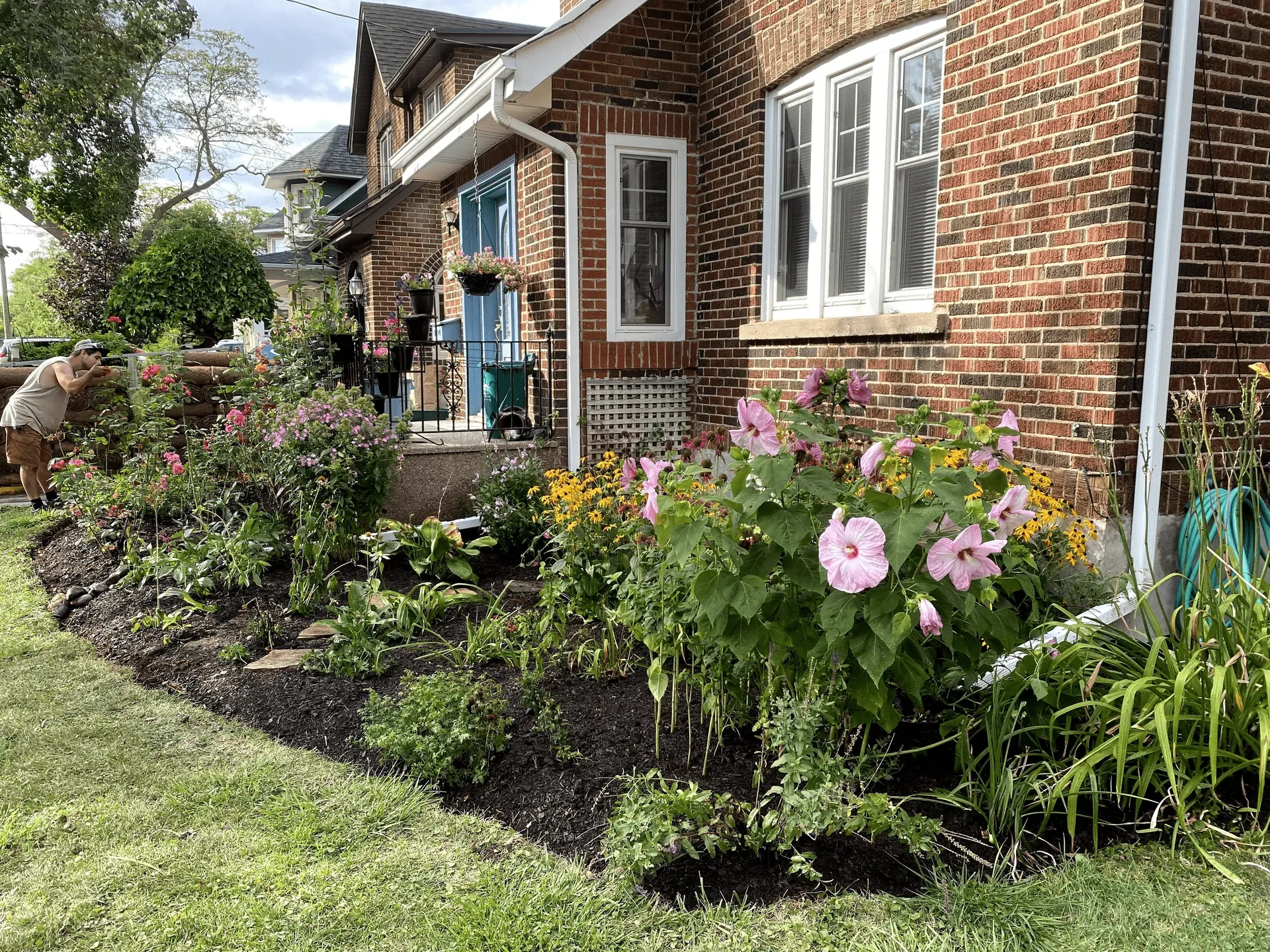 Native & Pollinator Gardens