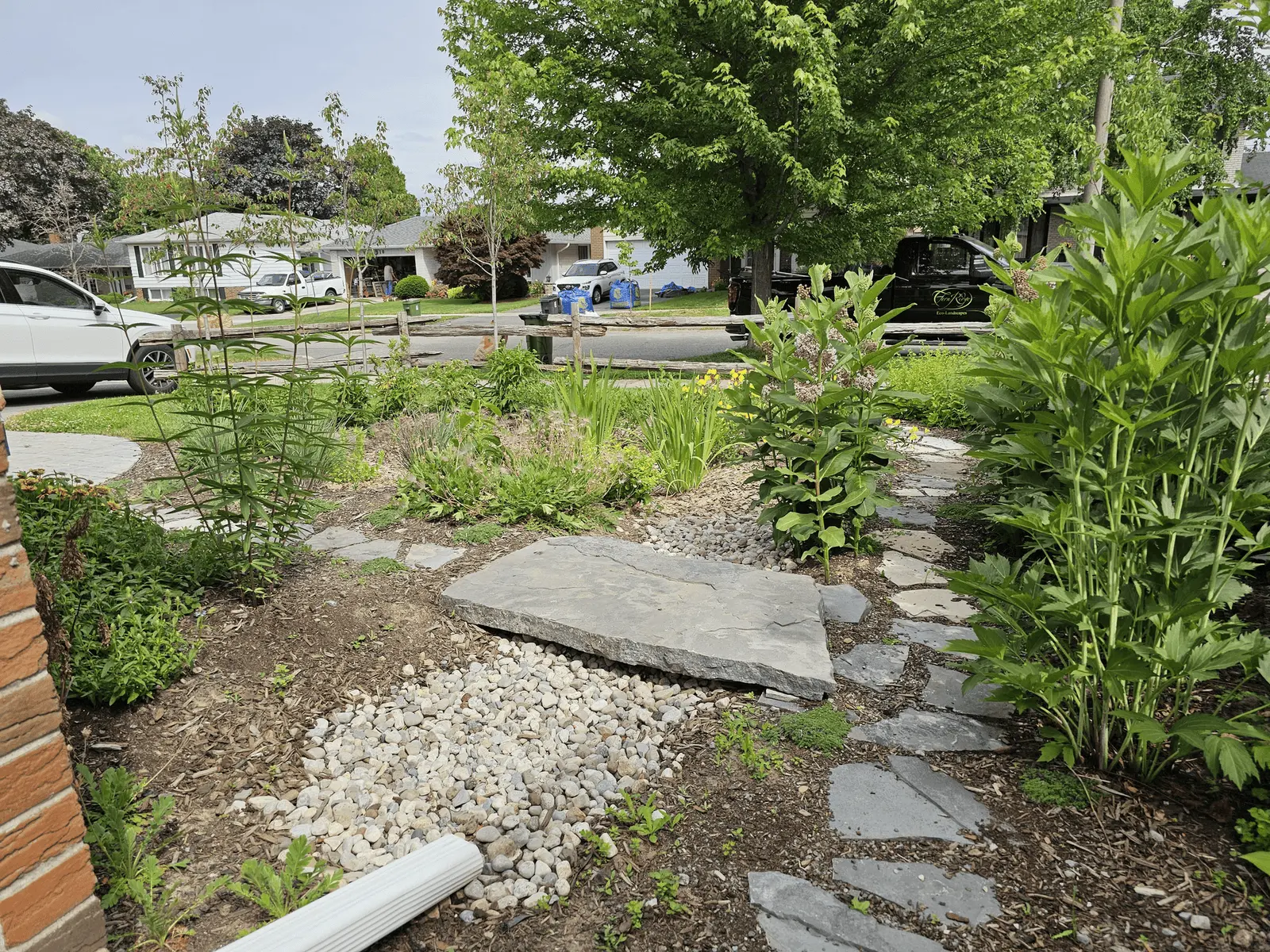 Natural stone stepping stones through front yard rain garden
