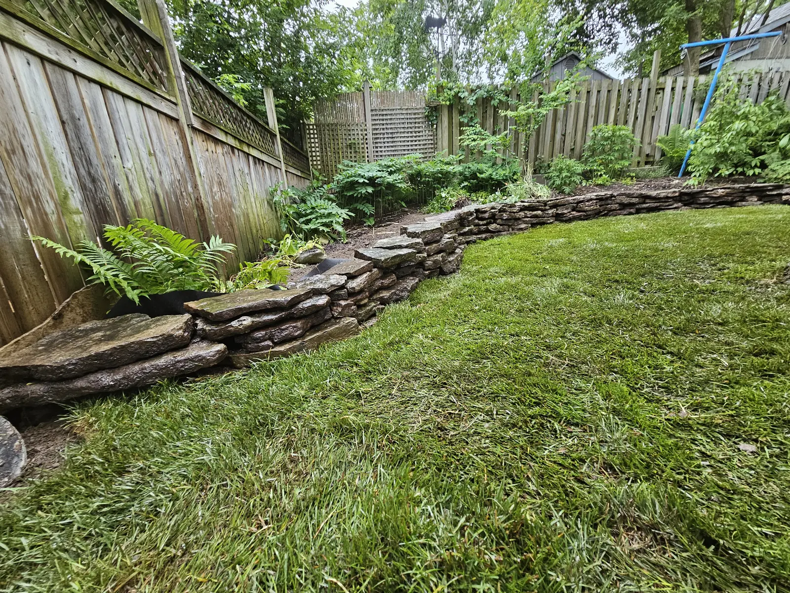 Dry-stacked natural stone retaining wall with fern plantings