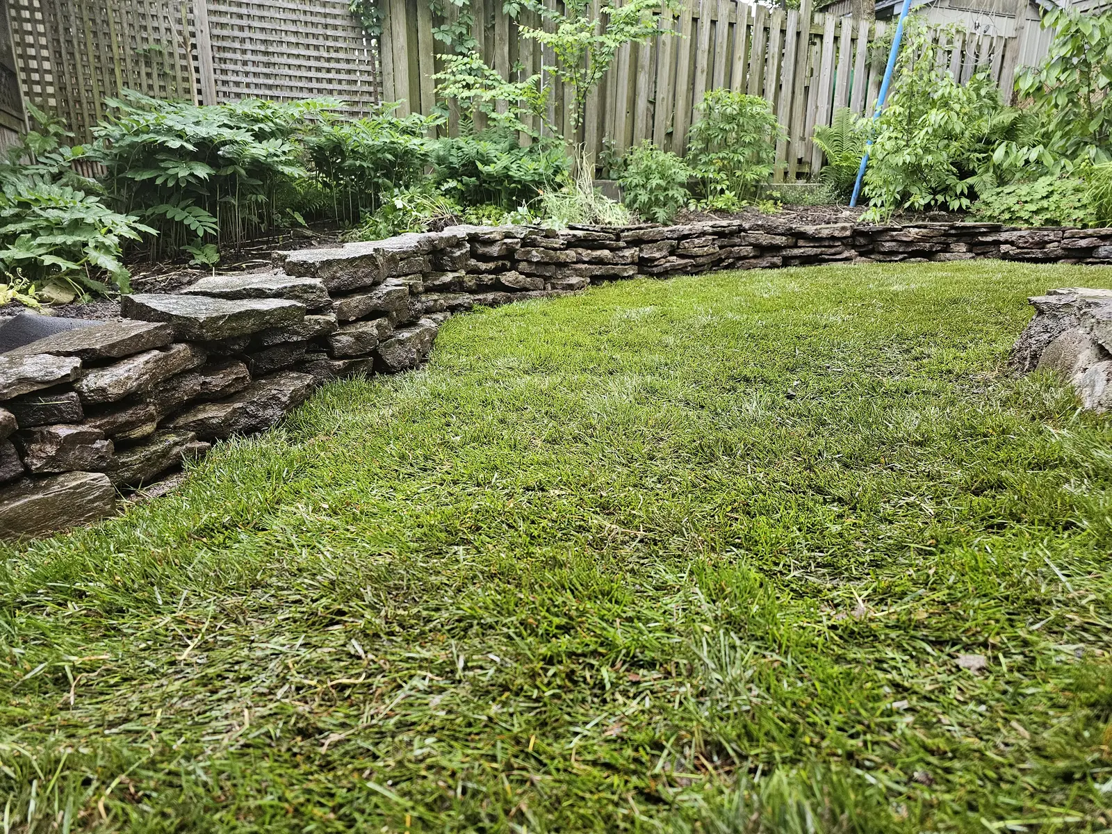 Curved natural stone retaining wall along shaded backyard lawn