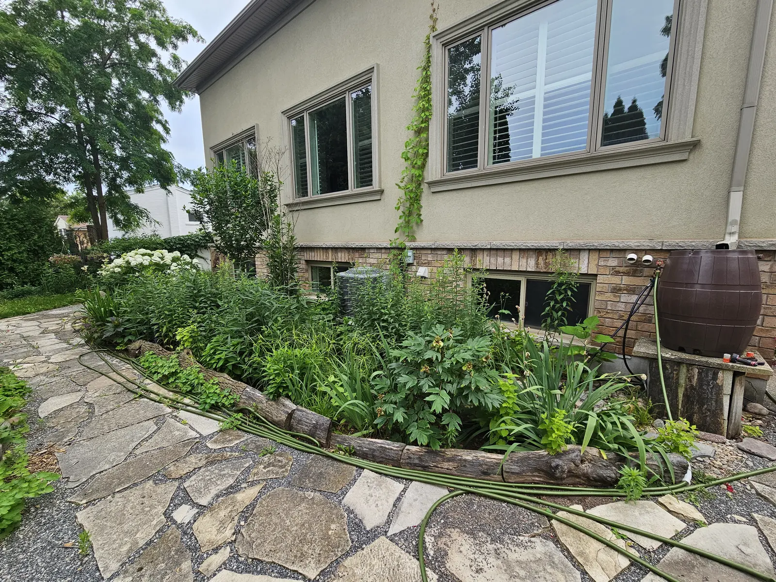 Flagstone walkway with perennial garden beds & rain barrel