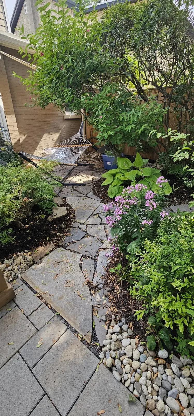 Flagstone pathway through narrow shade garden with hostas