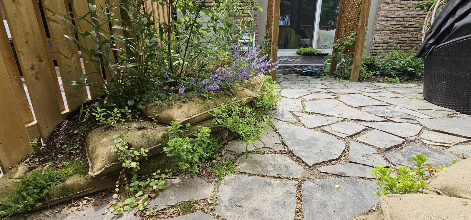 Flagstone patio nestled among plantings with catmint in bloom