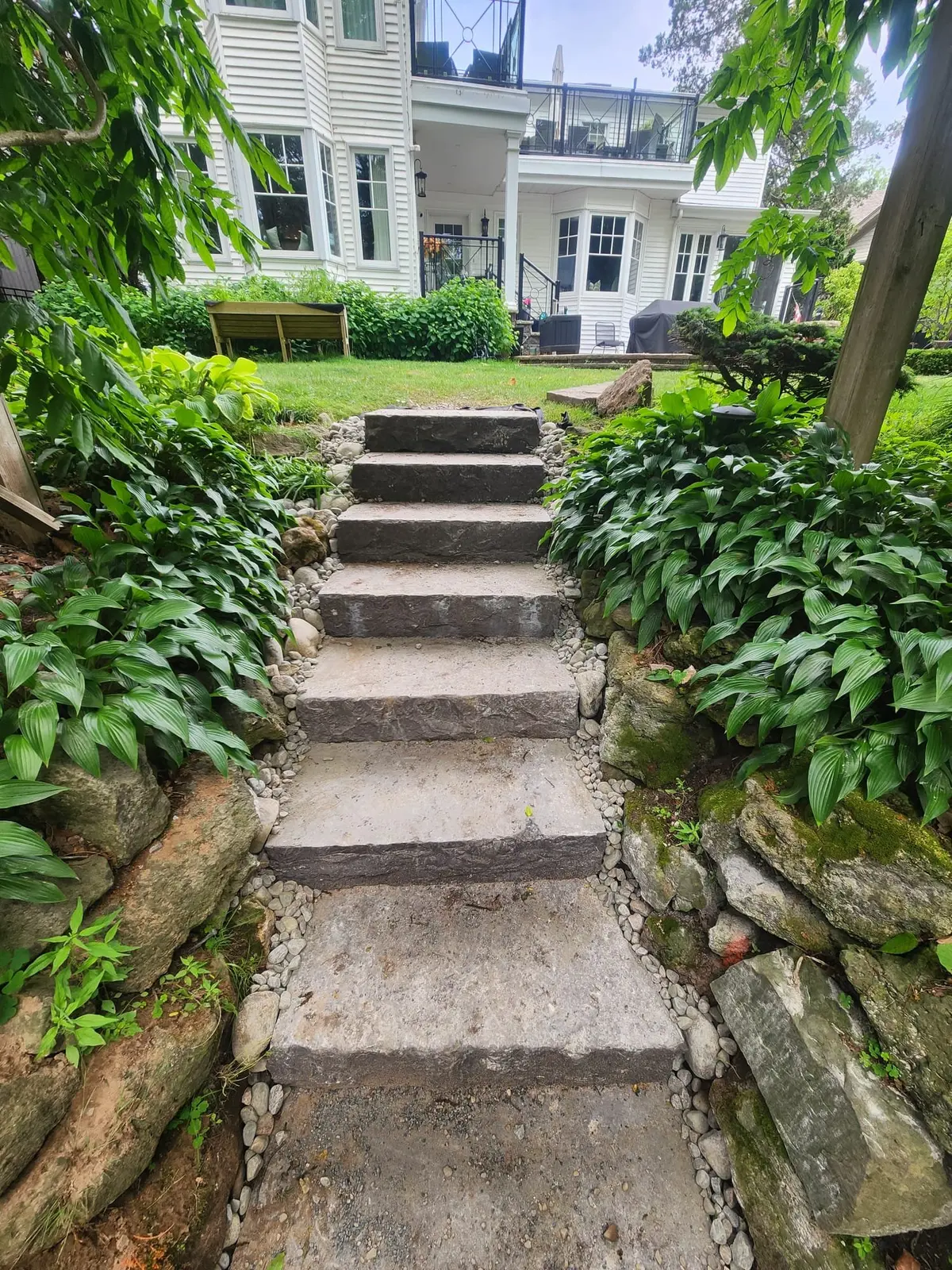 Natural stone steps lined with hostas leading to heritage home