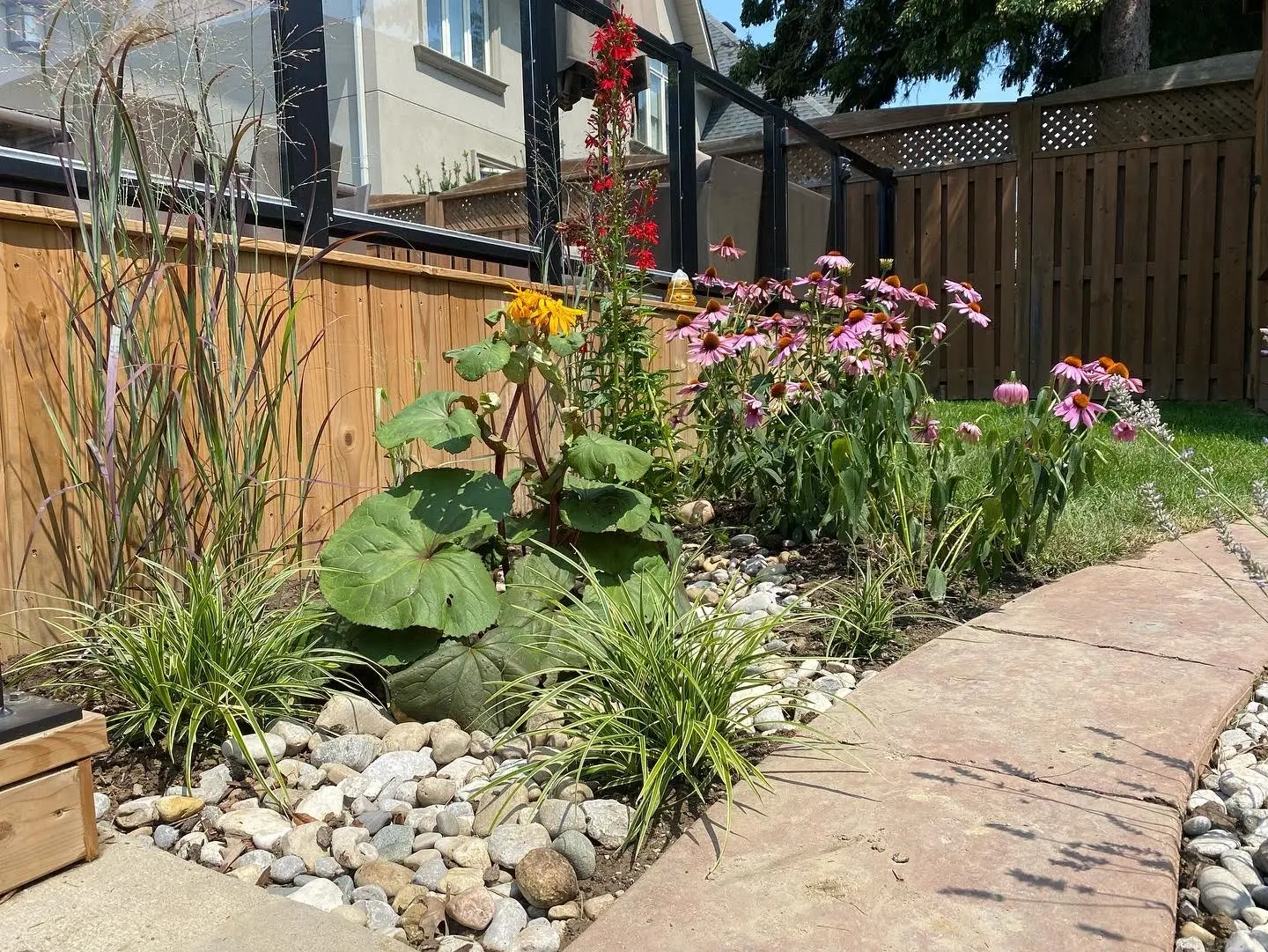 Backyard pollinator bed with coneflowers, river rock & ornamental grasses