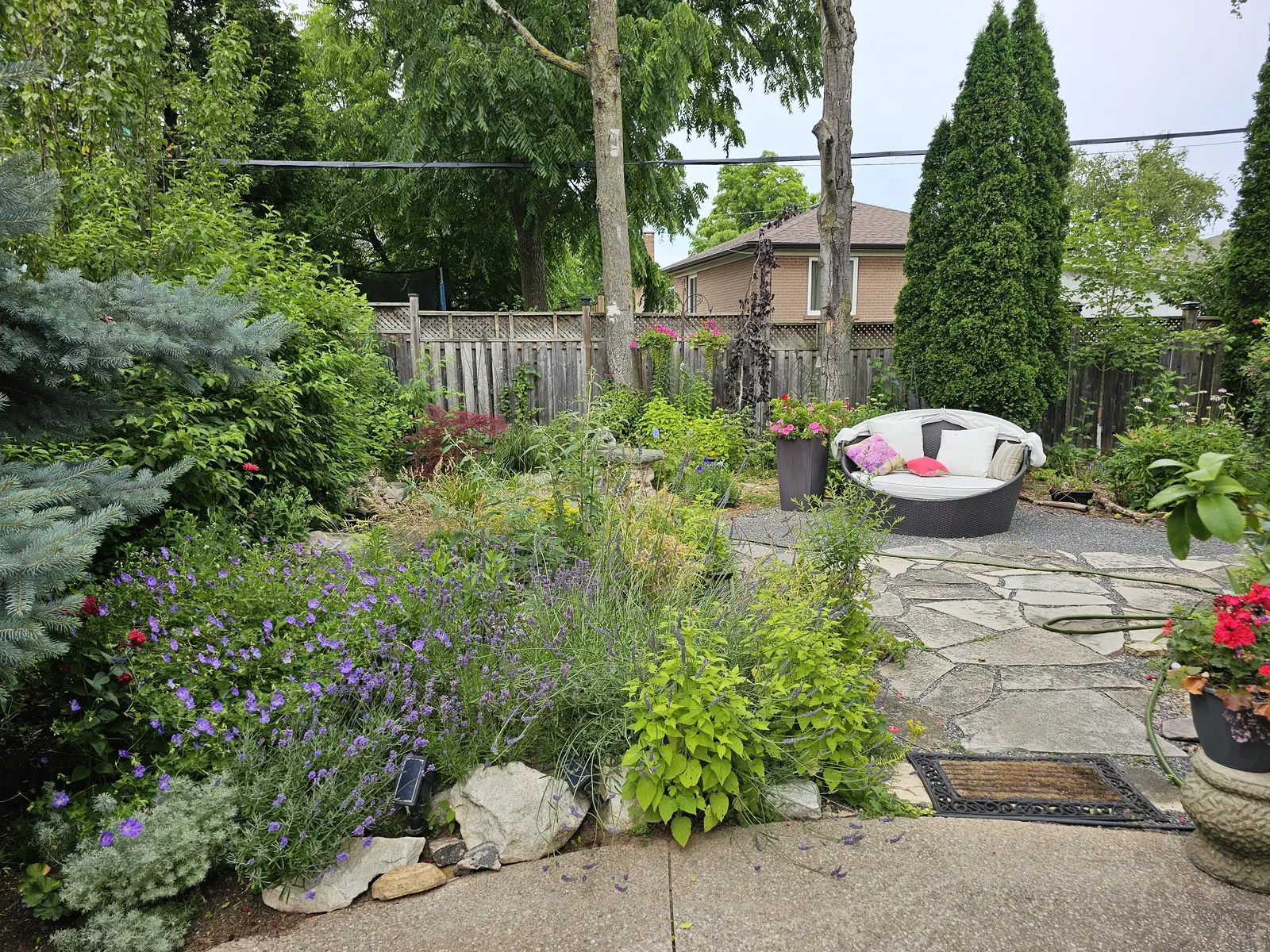 Lush pollinator garden with geraniums, lavender & flagstone patio seating