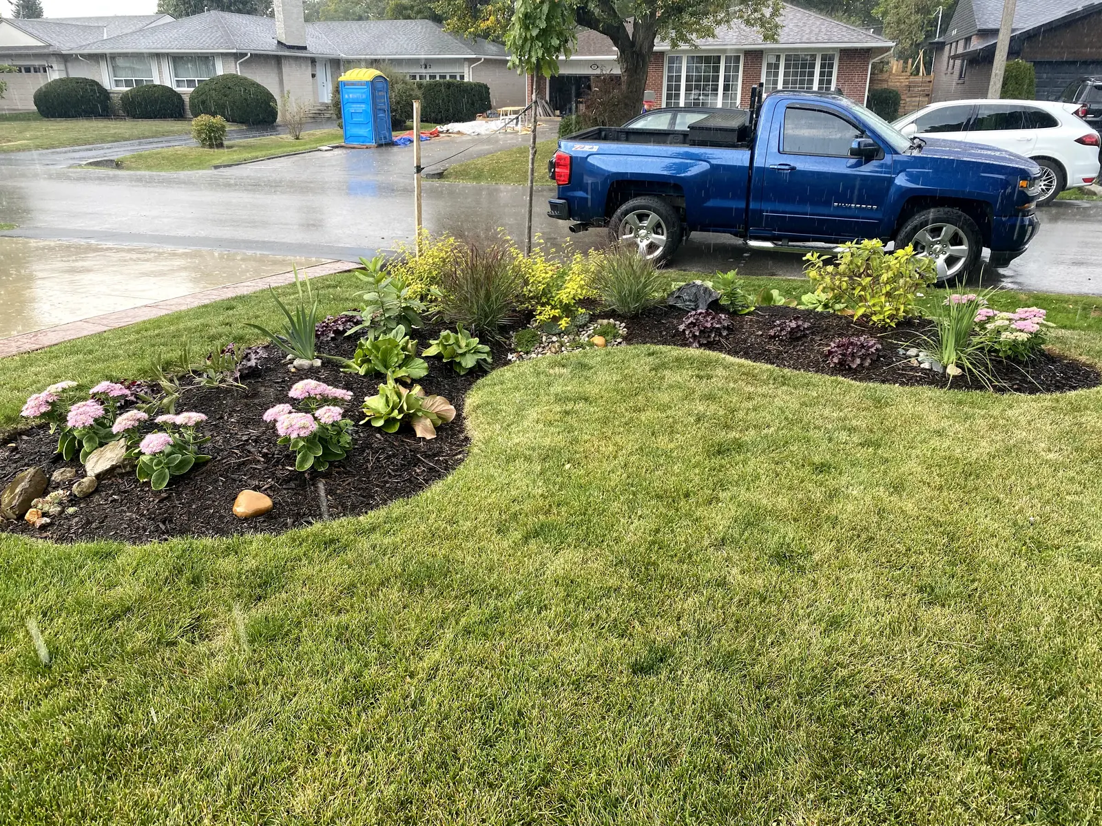 New front yard pollinator bed with hydrangeas & hostas on rainy day