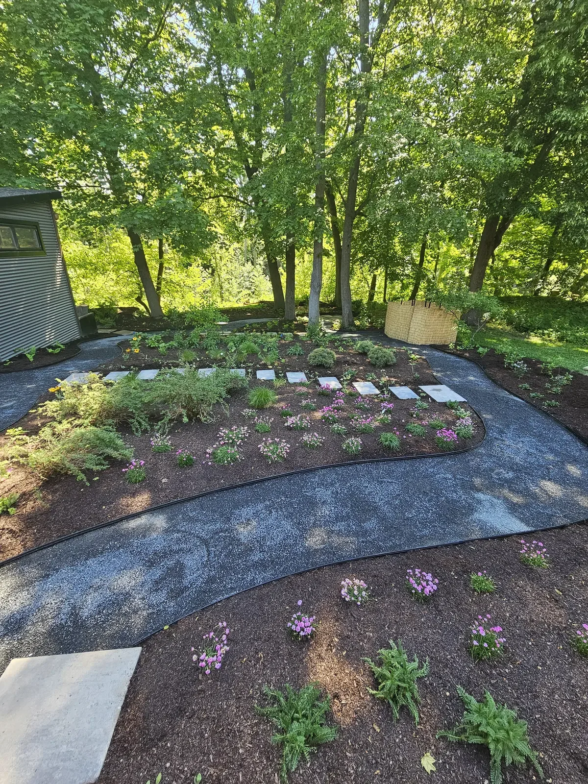 Curved pollinator border along walkway with new perennials & mulch