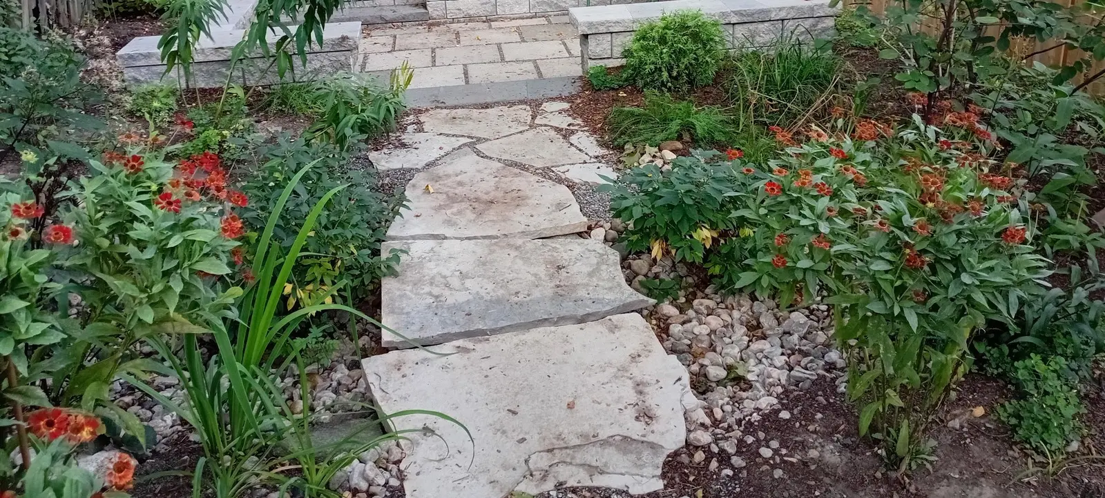 Matured rain garden with flagstone stepping stones & blooming perennials