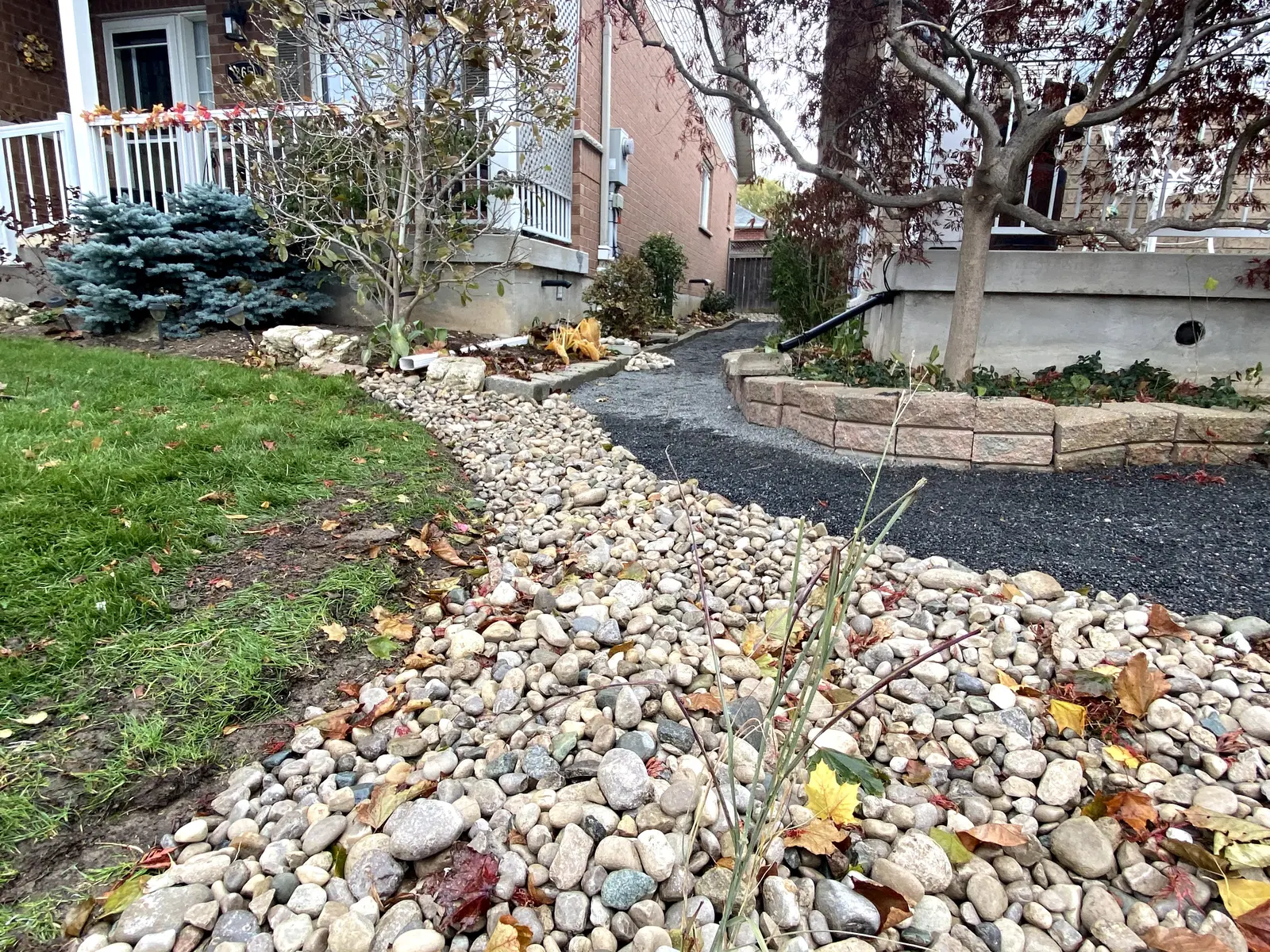 Front yard bio-swale with river rock drainage channel & blue spruce