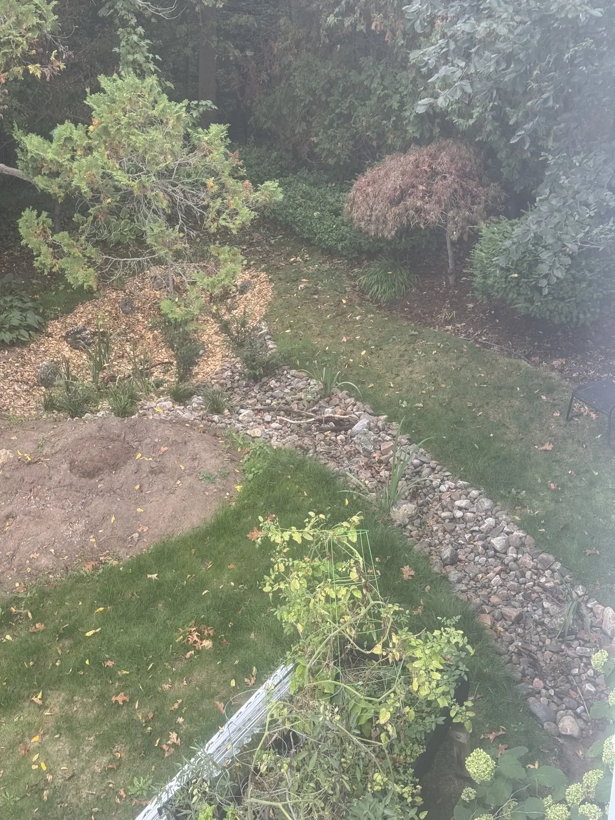 Backyard rain garden with dry creek bed, mulch & ornamental trees
