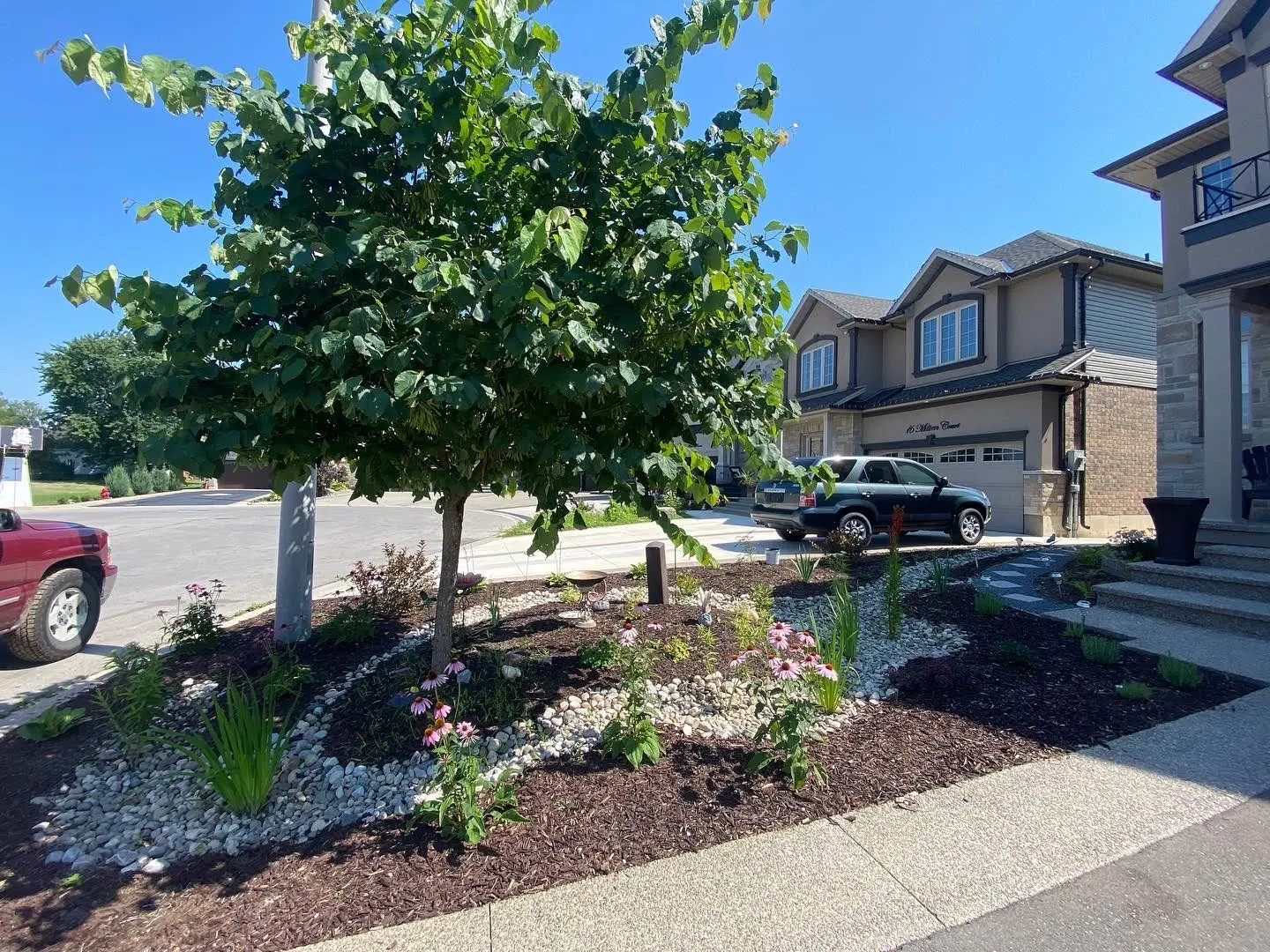 Front yard rain garden with ornamental tree, river rock & fresh perennials