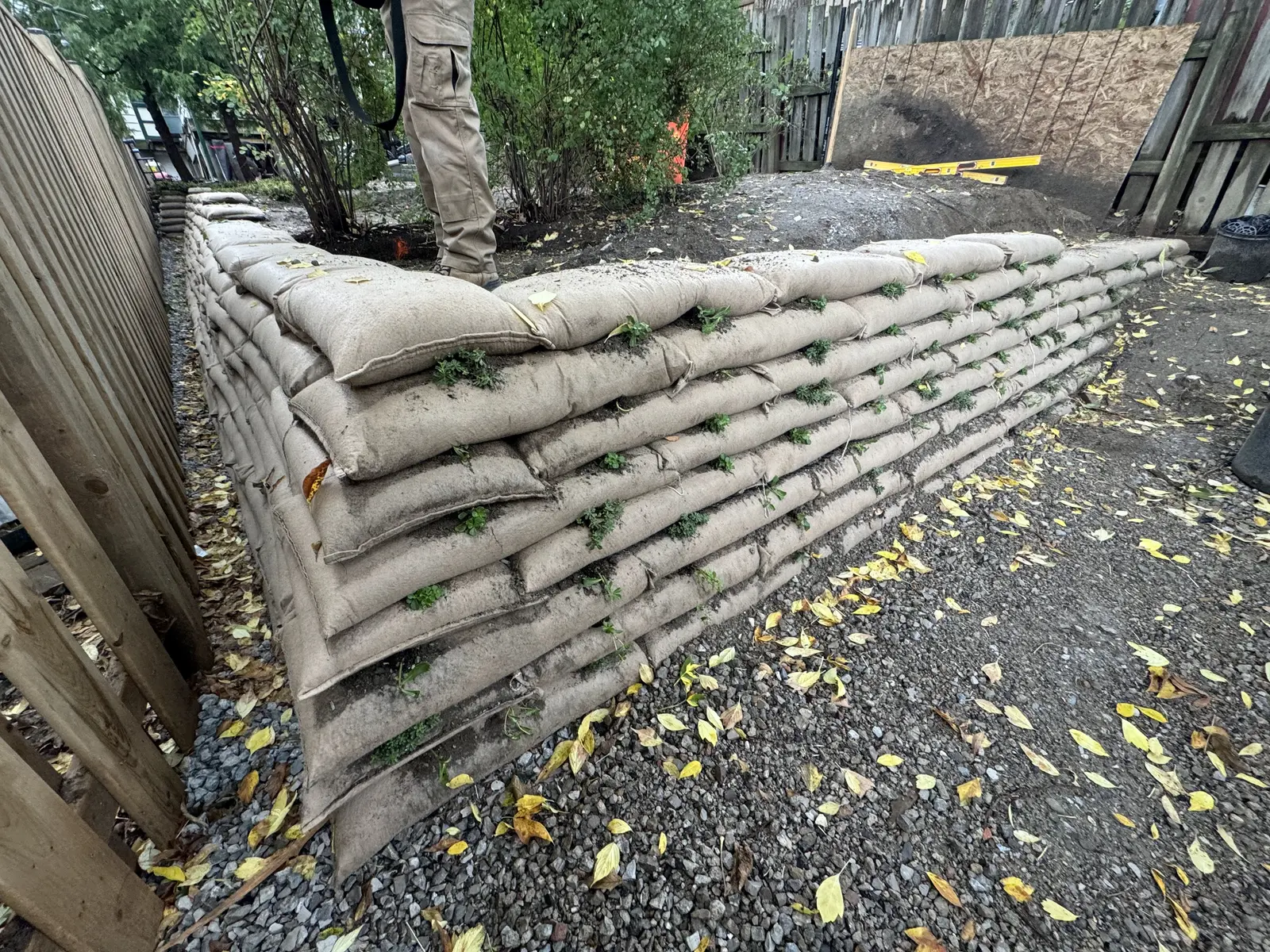 EnviroLok wall corner detail with fresh plant plugs during fall installation
