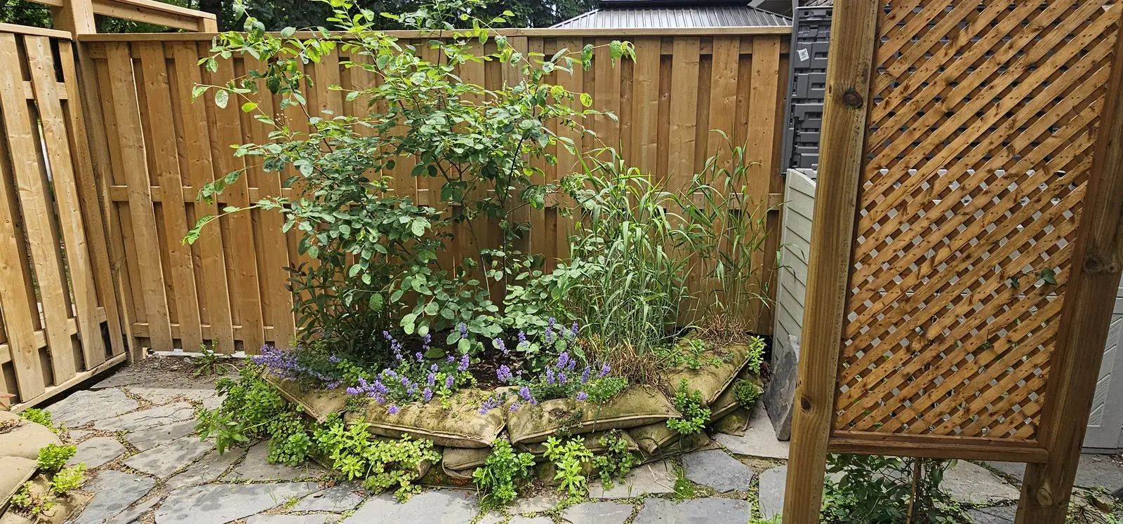 Small EnviroLok corner planter bed with shrubs & ground cover on flagstone patio