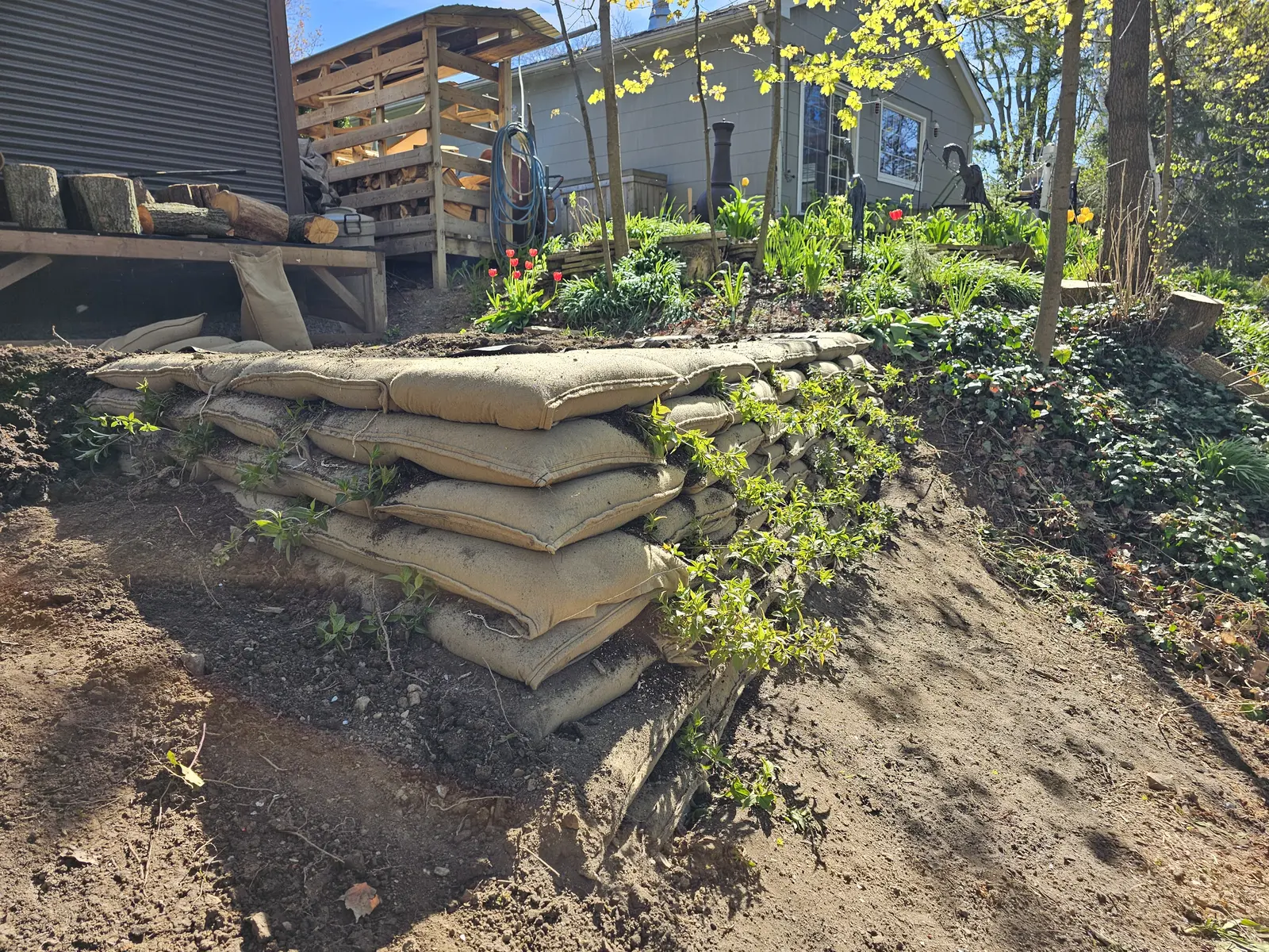 EnviroLok terraced wall with emerging spring plantings beside backyard deck