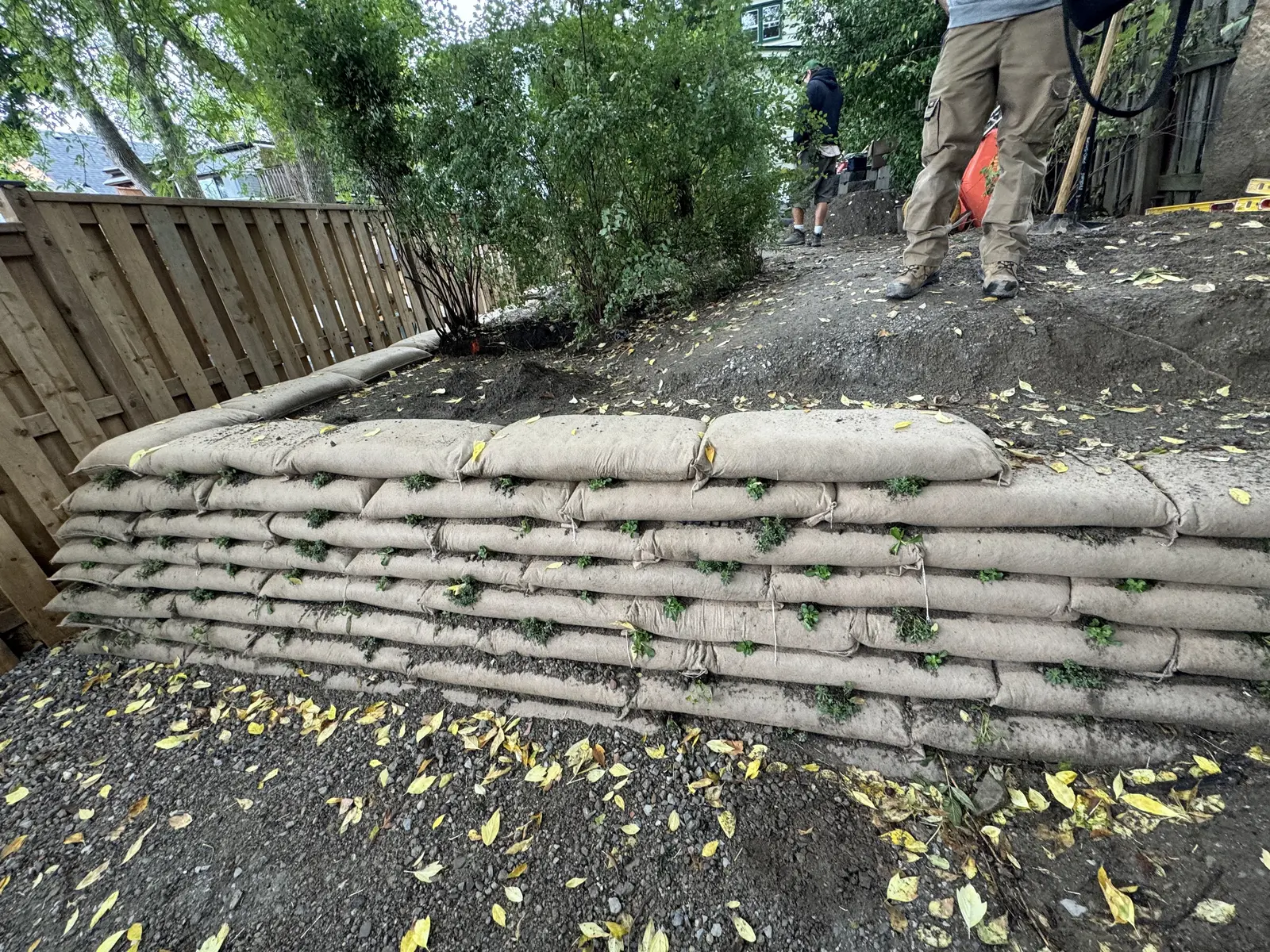 Newly installed EnviroLok wall with fresh plugs along backyard fence line