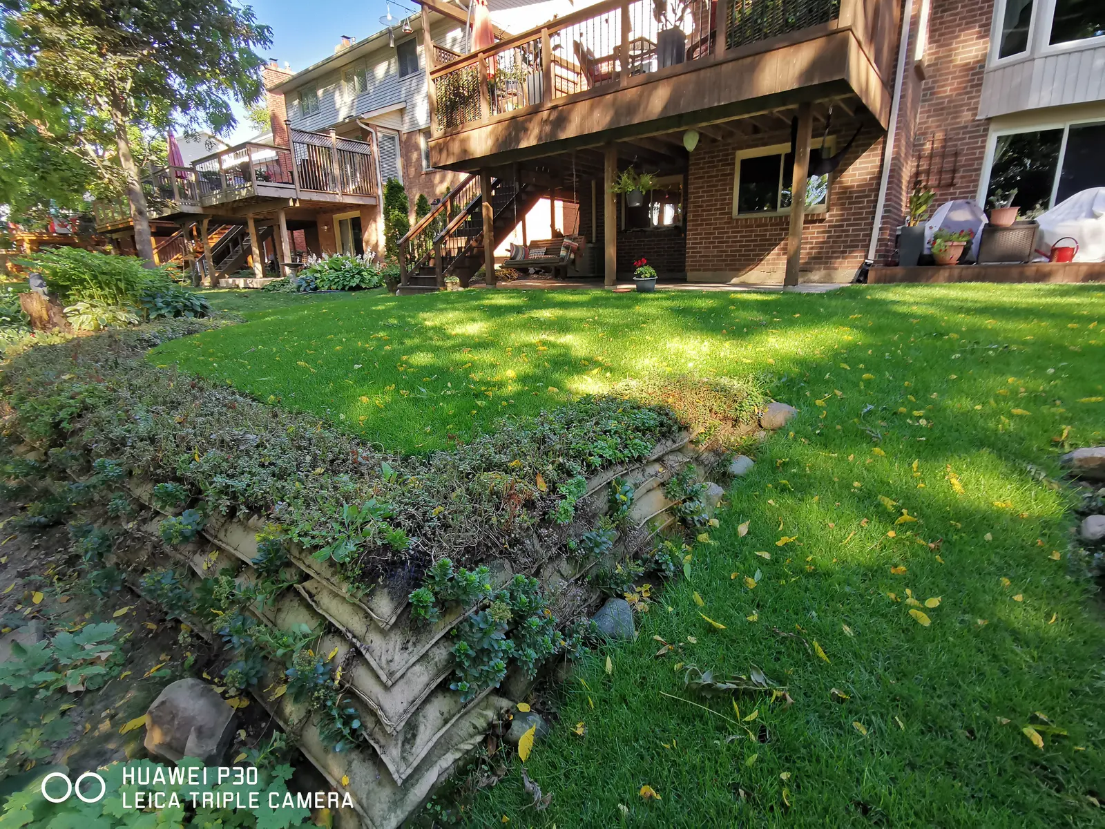 Established EnviroLok living wall with ground cover cascading over bags in sloped backyard