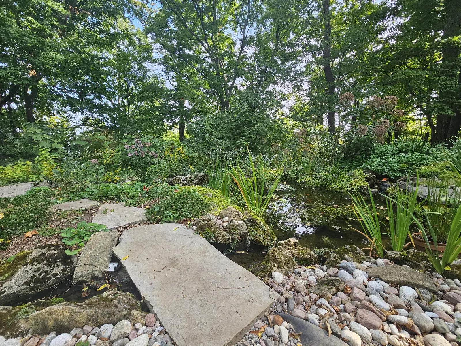 Woodland pond with stone slab bridge & native plantings