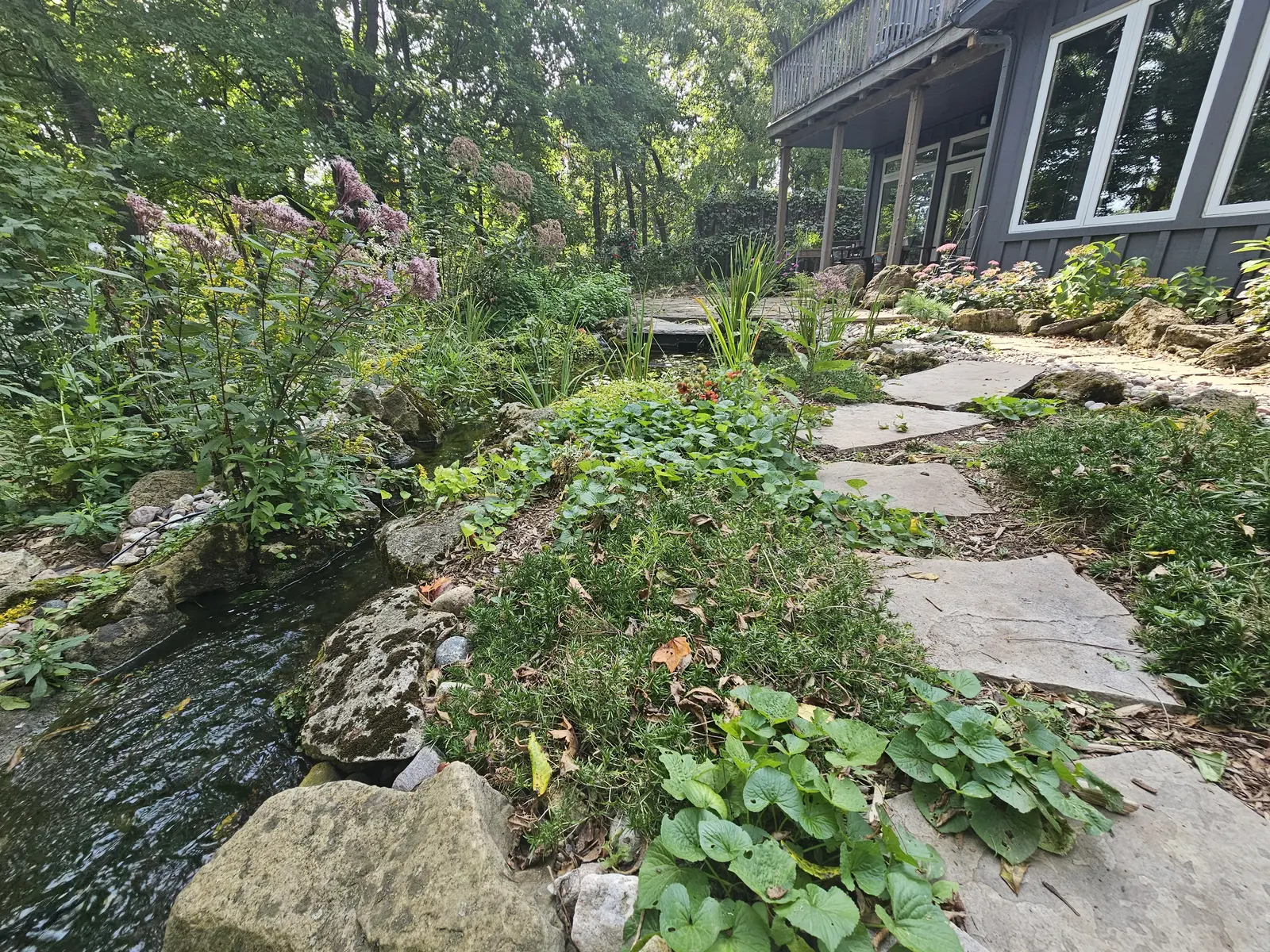Naturalized pond & flagstone path beside wooded garden