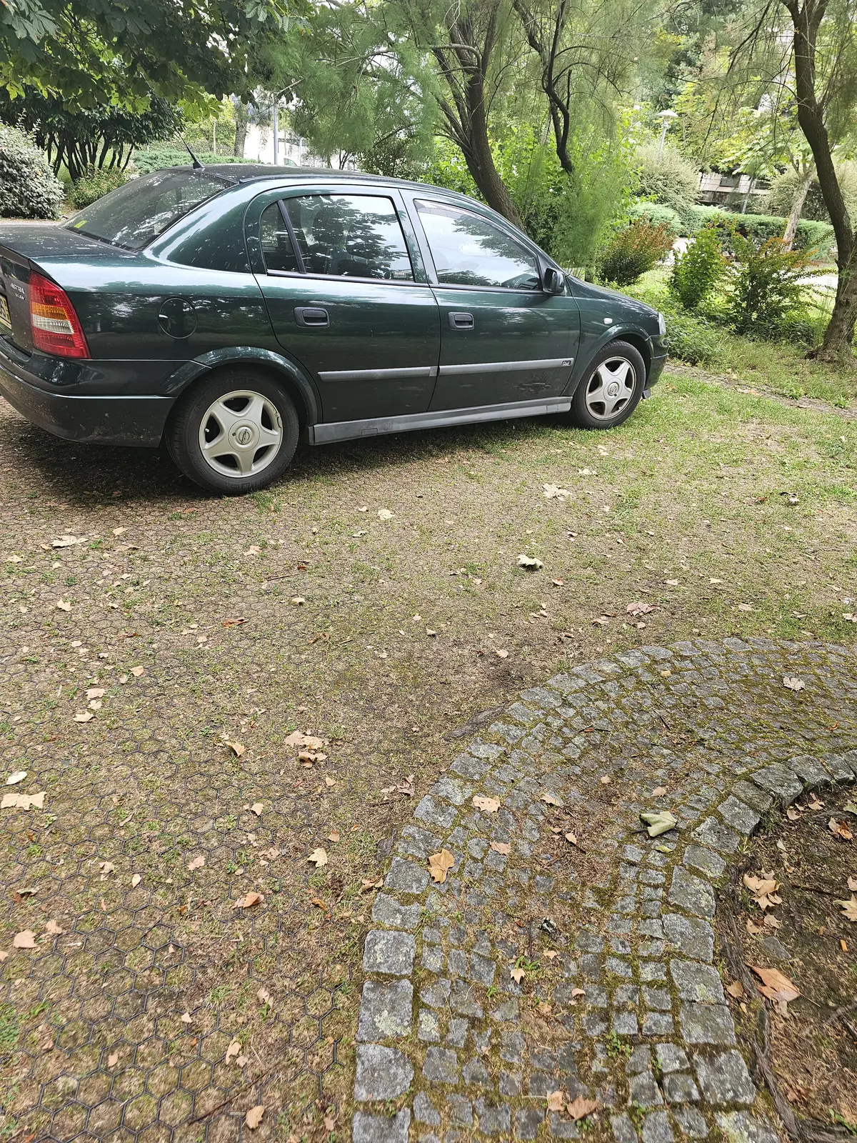 Permeable Ecoraster driveway with grass fill & cobblestone border