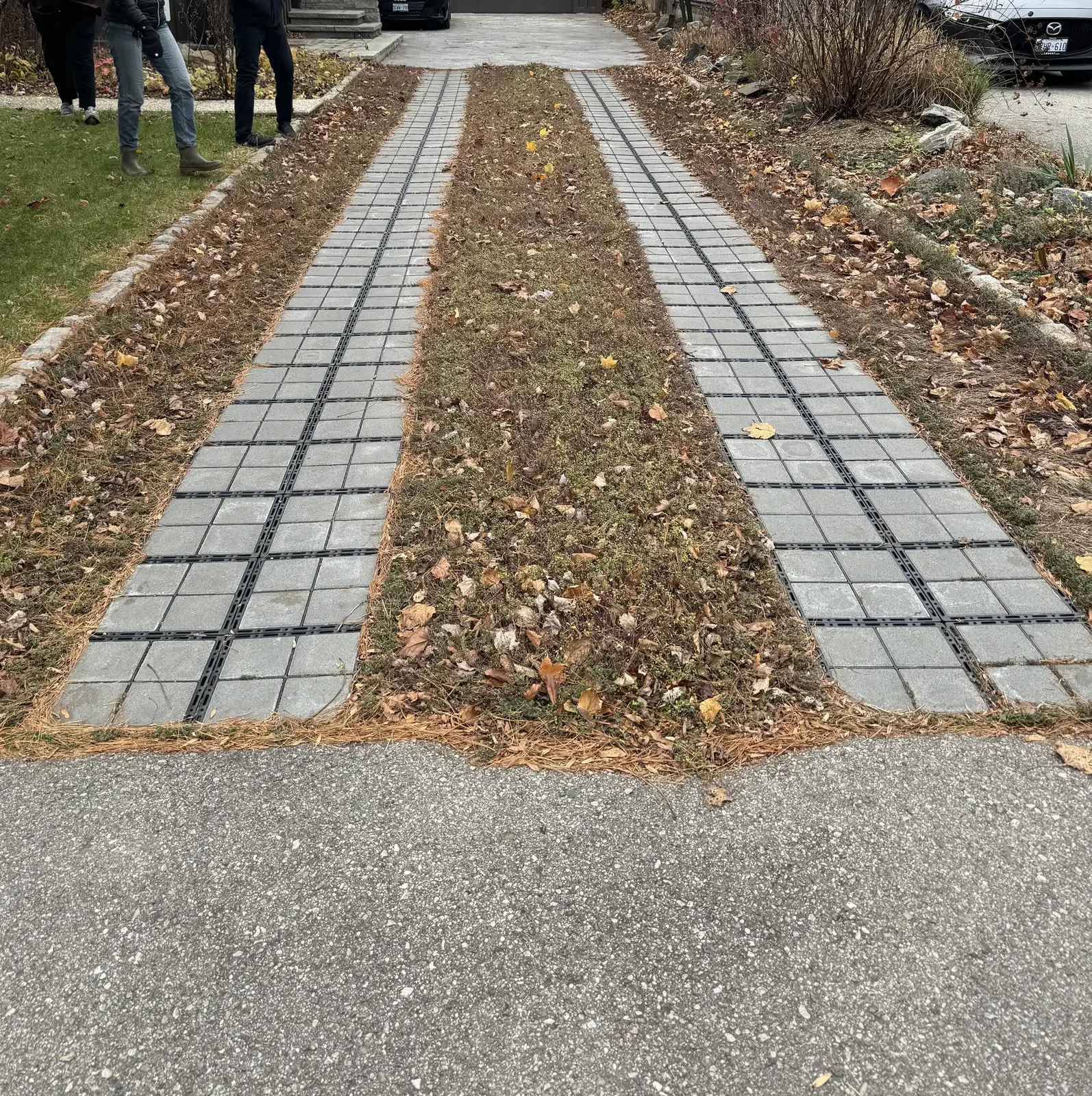 Ecoraster drive strips with permeable grass centre