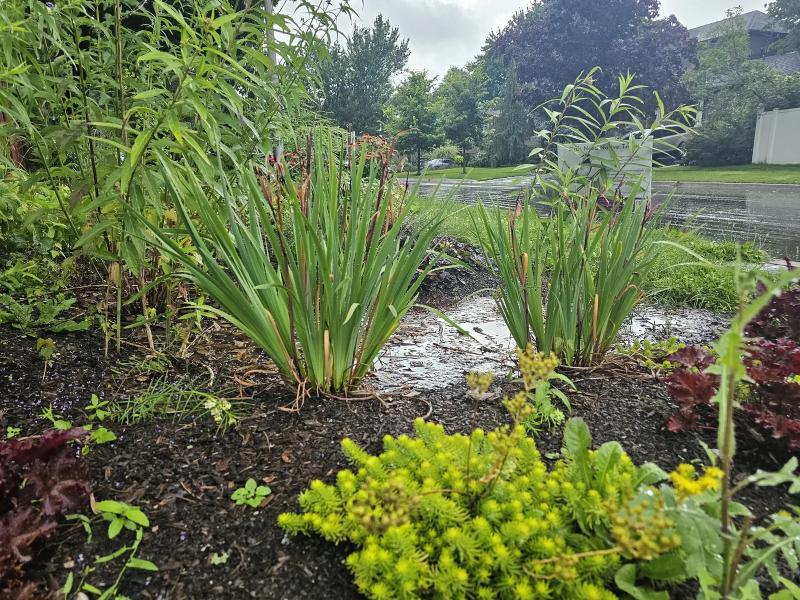 Water Management